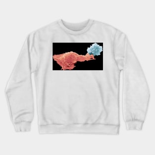 Antigen presentation, SEM (C024/3640) Crewneck Sweatshirt